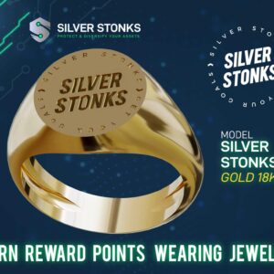 Silver Stonks Circle Signet RIng 18k Gold